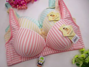 �S�����l�ЋD������� �o�Ȧ����ǰ�_��ι�̗l�y��������