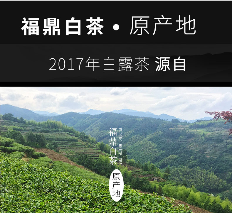 2017-白露茶-阿里_18.jpg