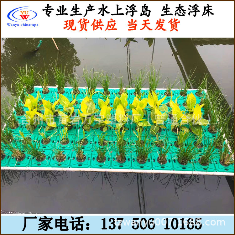 生态浮岛 水上绿化生态浮岛 人工水上生态浮岛 生态浮床 水上种花