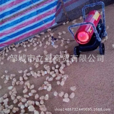 型号多可定制猪棚鸡舍热风机 高效率养殖畜牧育雏取暖暖风机