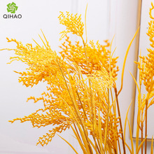 浾3浾ֲָйٻͥƵ[Źֲ