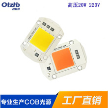 ���ӹ�Դ �߉�AC220V 20W 30W 50W �߹�Ч cob���ɵ��b��Դ6040