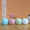 Style 6 (Apple) 280 pcs/box