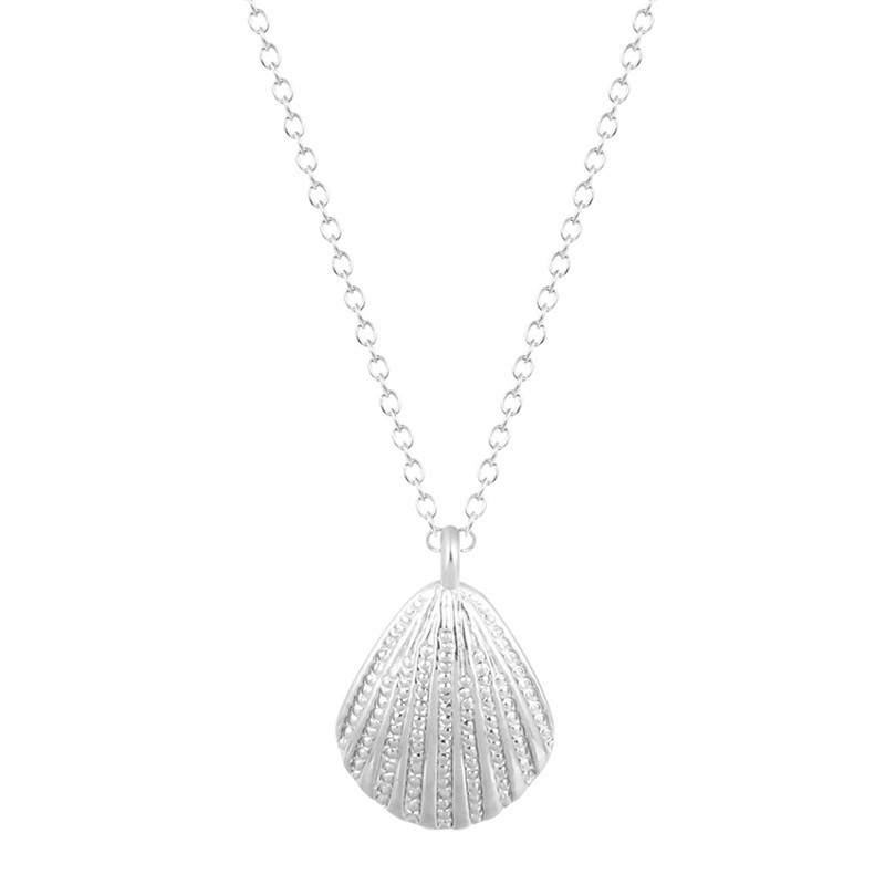 Marine Life Scallop Conch Shell Pendant Necklace Gold And Silver Female Clavicle Chain Wholesale display picture 13