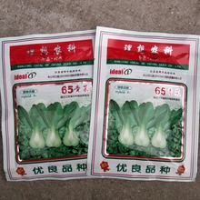 批发蔬菜种子 理想农科65青菜 青梗菜种子 四季种植 基地大田50克