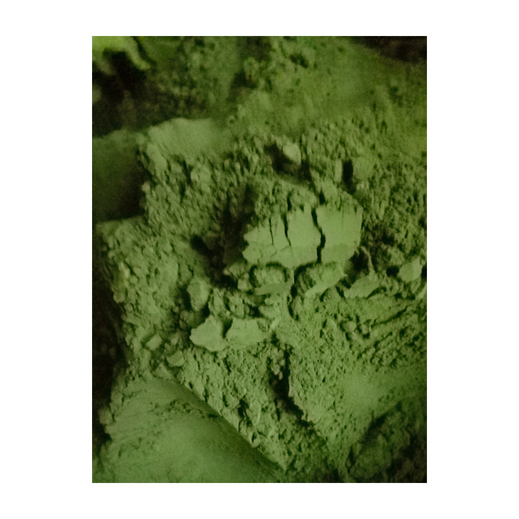 天健生物好品质小球藻 大面积养殖 高质量植物蛋白核小球藻