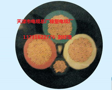 YC-J 3*35+1*10��܇������|���S�r��