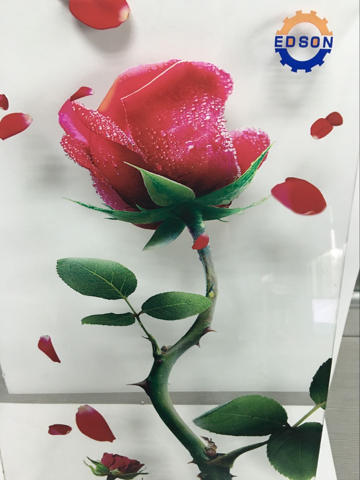 藝術玻璃彩印 (13)