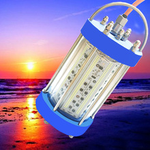 Դ^SҼ~LEDˮT~~~~ស