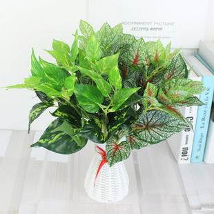 �Gֲ������f����С�Gֲ�b� �����~���l�̈��G���t���~���^��