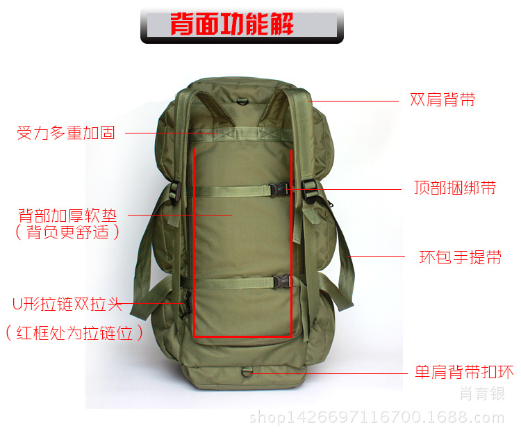 背部解析.jpg