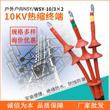 ls|K^10KV|K^NSY- WSY-10