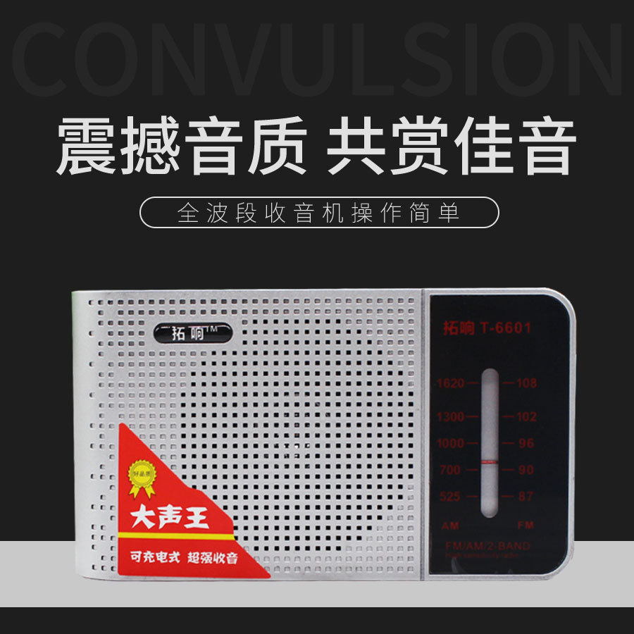 Ringing T6601 Rechargeable Full band radio Portable Radio