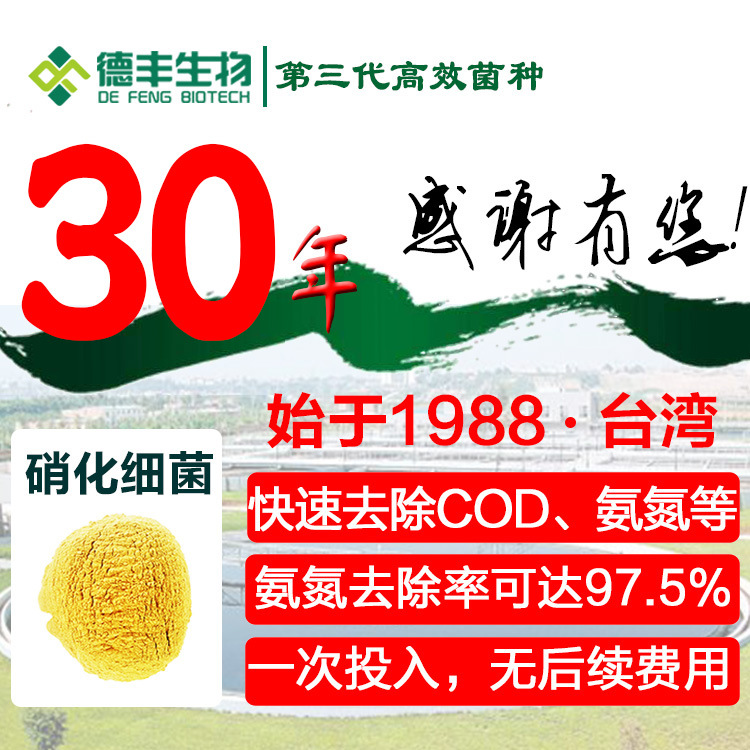 污水菌种 生物菌种水处理剂 氨氮降解剂 氨氮去除剂批发