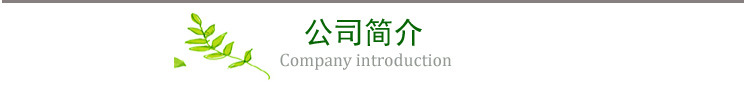 公司简介