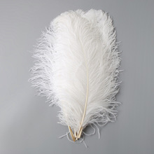 現貨白色鴕鳥羽毛50-55cm 鴕鳥毛支 燈罩羽毛 服裝婚慶裝飾道具