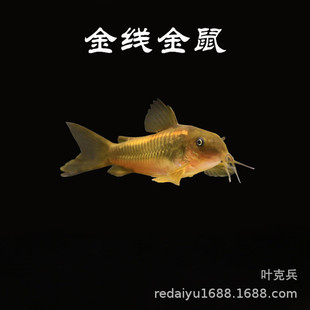 �Ꭷ�^�p�~���l�����~�𾀽���𾀾G���坍�~���w����