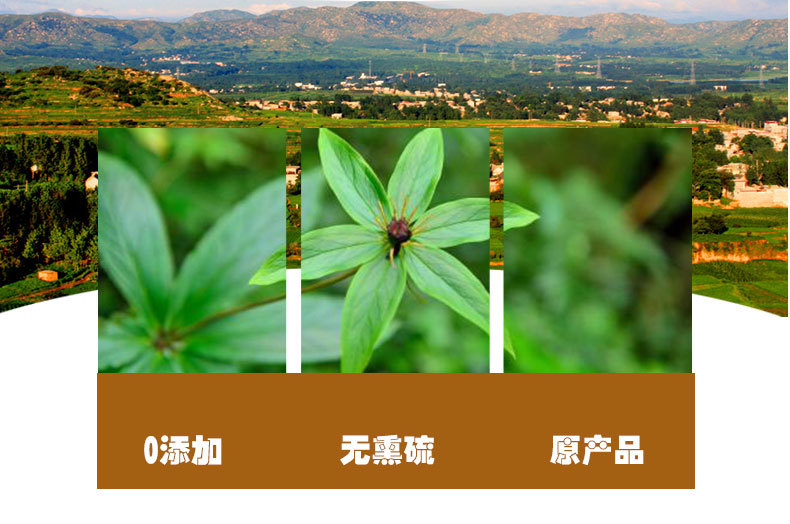 Cao He Che (Bistorta officinalis / Polygonum bistorta) — Dried Yunnan Rhizome, 500g quality and texture