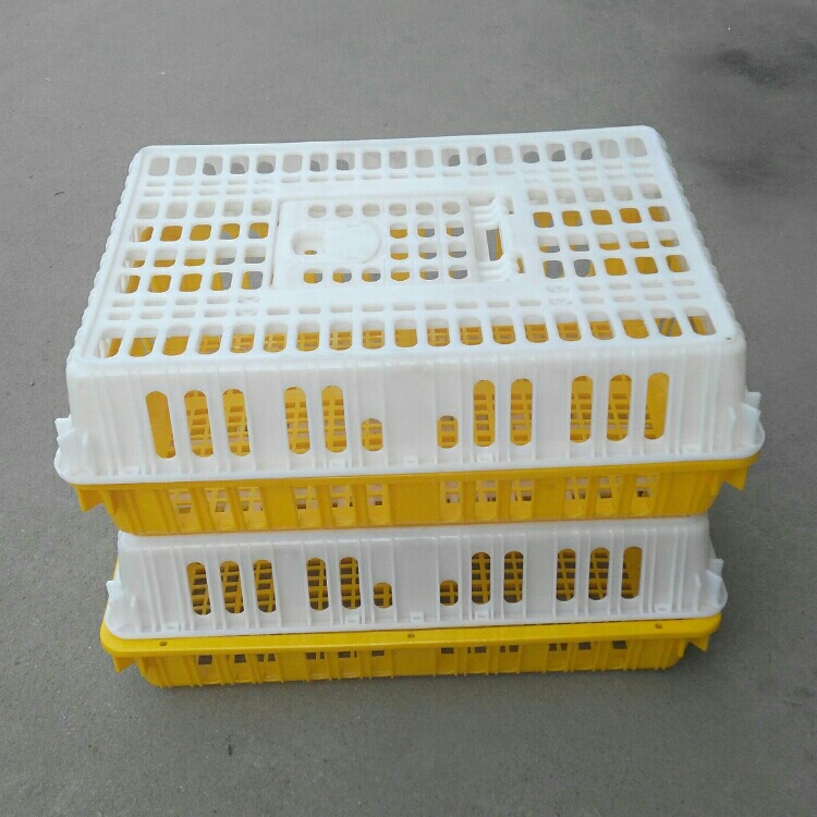 Spot high-quality plastic chicken cage