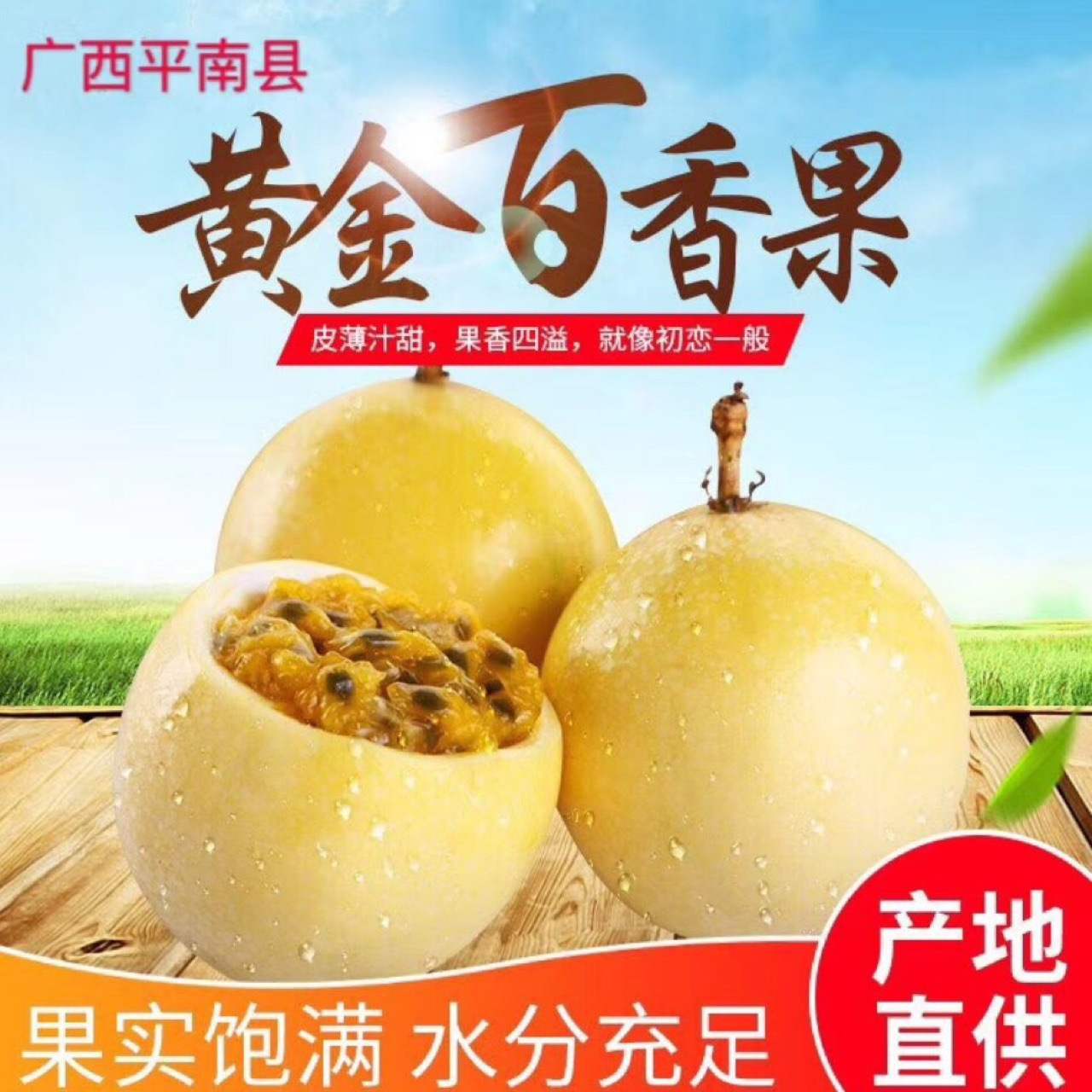 【芭乐味黄金百香果】 广西扶贫基地新鲜直发