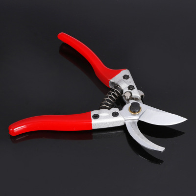 园林修枝剪 省力耐力果树粗枝树枝剪 剪枝剪刀 花枝园艺绿化剪|ru