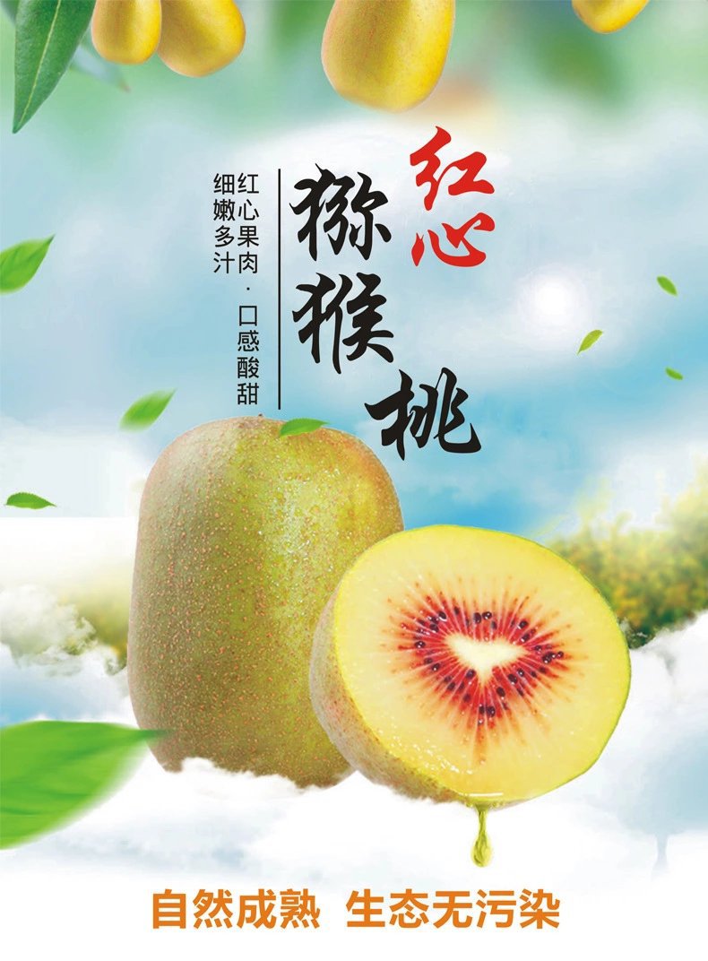 feed_image1533480793210