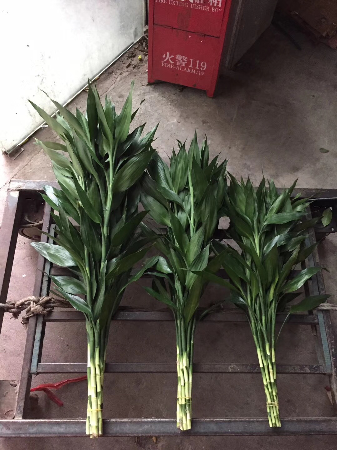 微信图片_20180514155644