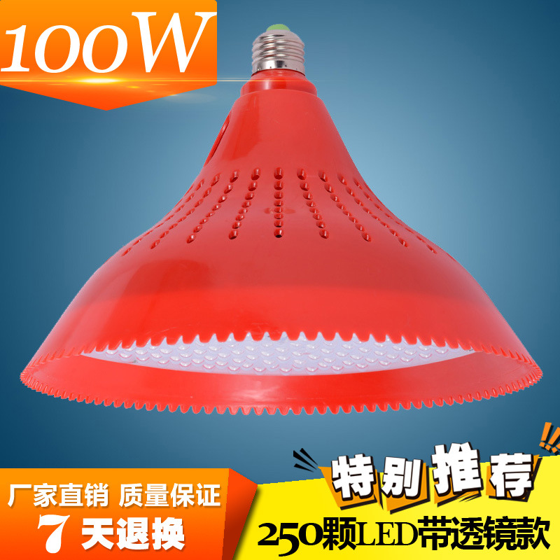 带透镜LED猪肉灯厂家直销生鲜灯超市水果蔬菜商场海鲜熟食专用灯|ru