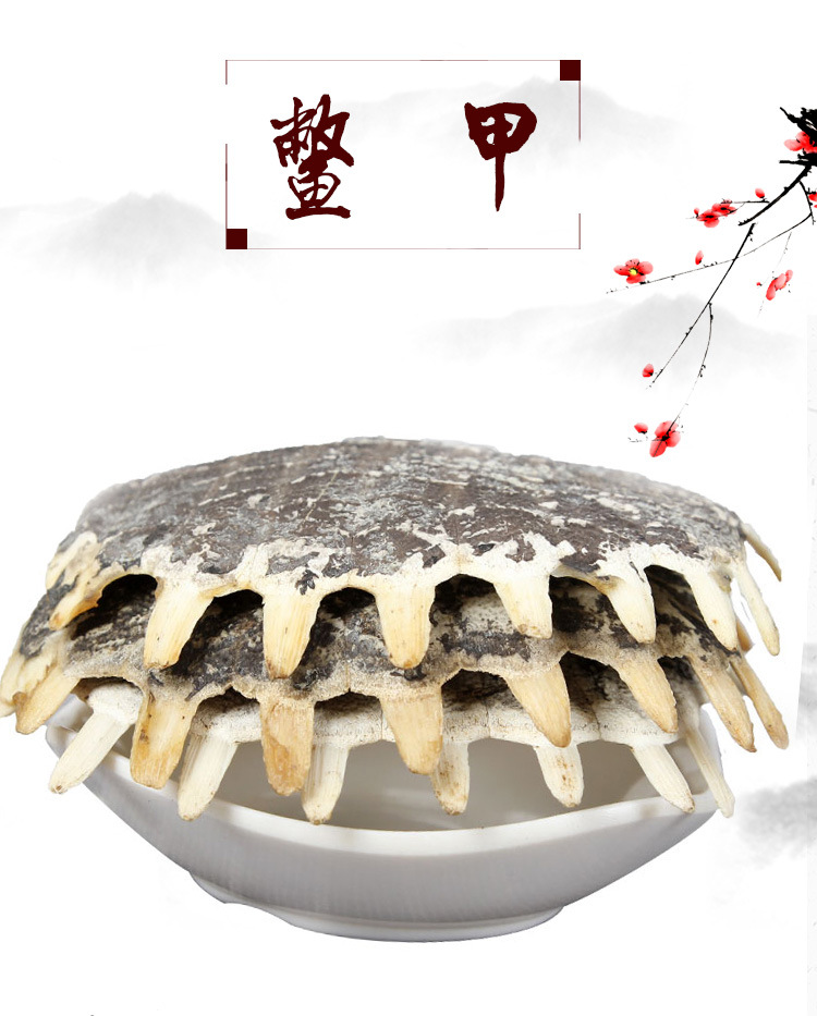 Bie Jia (Trionyx sinensis Carapace) — Dried Soft-Shell Turtle Shell for Herbal Decoction key features