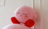 Plel cotton closed eye trumpet