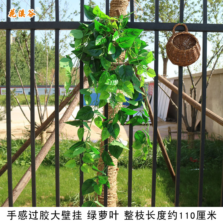 手感过胶壁挂 绿萝叶