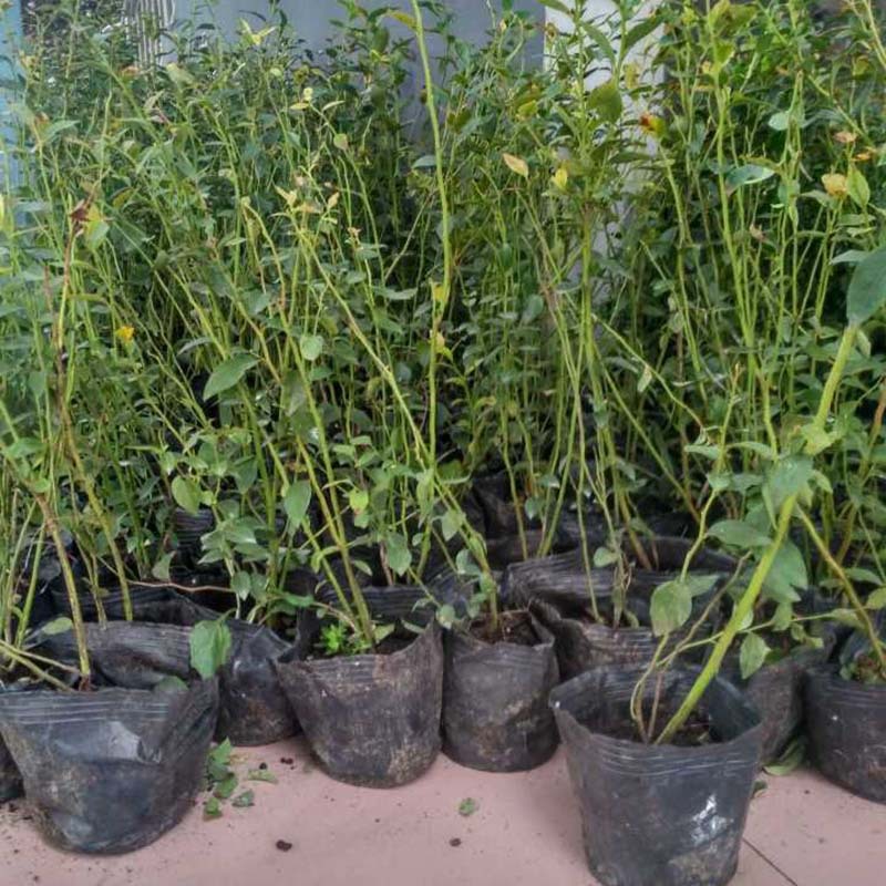 161FFFFBFEF8CBE84B4AA0633522A6