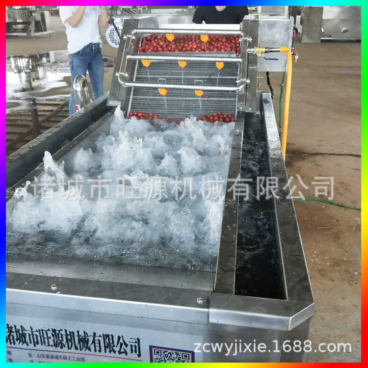 菠菜气泡清洗设备  辣椒清洗设备 菠菜辣椒清洗流水线厂家
