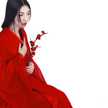 古典舞演出服女飘逸中国风水袖舞蹈红昭愿汉服裙仙女古装服装成人