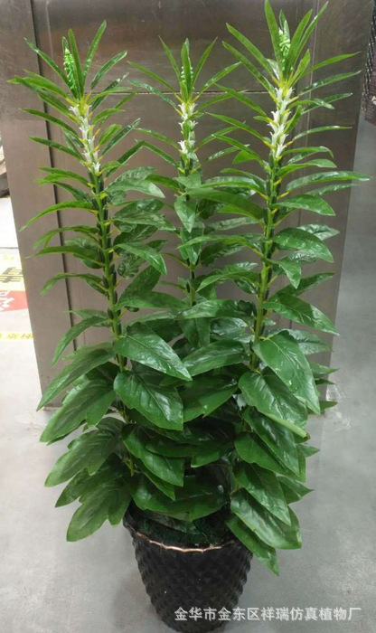 XRB-169 春色1.5米芝麻