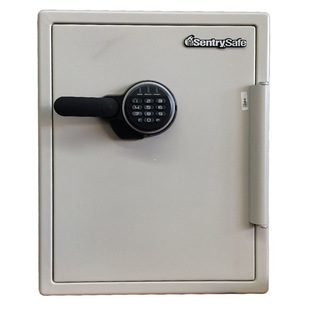 SentrySafe Imported from the United States Safe Home Fireproof Digital Password Box 60cm High SF205EV