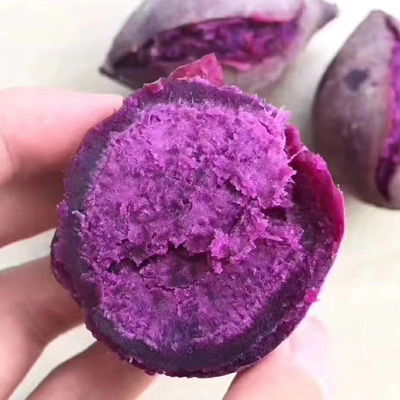 Pearl Mini Purple sweet potato 5 pounds Fragrant and sweet Purple potato Farm fresh Small potatoes sweet potato Sweet potato