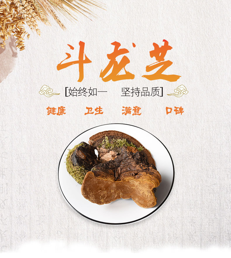 Dou Long Zhi (Ganoderma) — Tibetan Dried Reishi Mushroom, Bulk 500g Food Herb overview