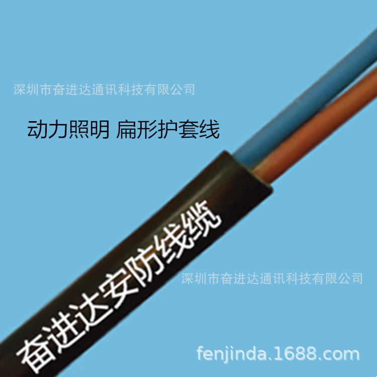 2*4 Square Pure Copper Sheathed Round Power Cord RVV2x57/0.3BC Cable 4 Square Black 2-core Cord