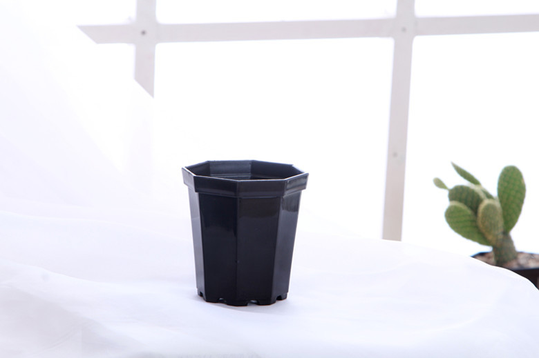 IMG_4730_����