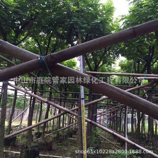 ����ֱ�N ���ϼt�� ���t�� ���ϲ˶� �G�� �˶��� �е���G����r