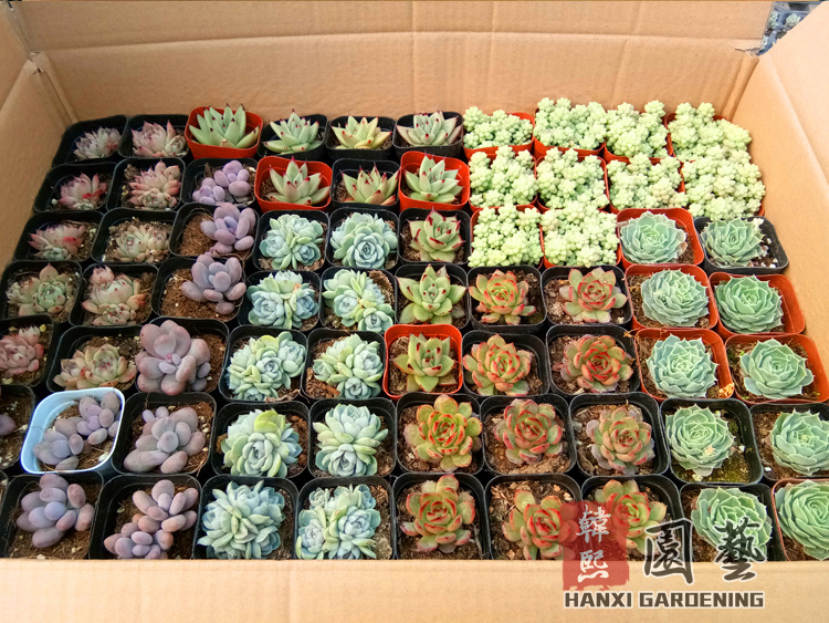 微信图片_20180130111613