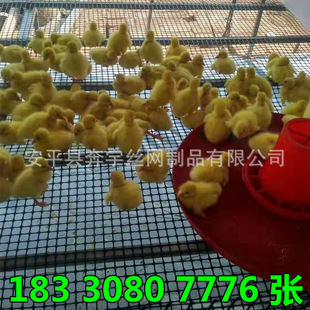 �F؛ ����� �������ϴ���W 2 3���׾W�� ʹ�É���10������