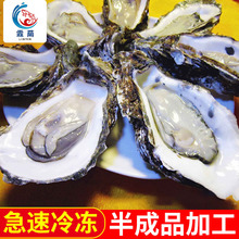 海鲜一站式海鲜水产餐饮酒店烧烤半壳生蚝鲜活牡蛎海蛎子120个规