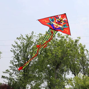 Воздушный змей дракон