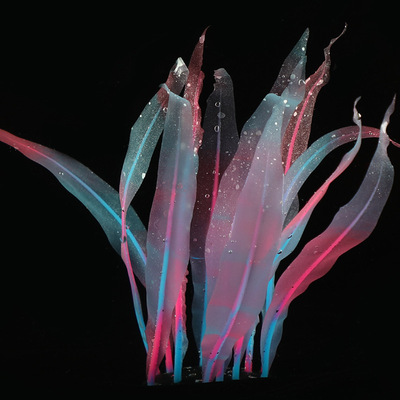 供货跨境电商水族箱鱼缸造景饰品硅胶仿真软体珊瑚类-海带S|ms