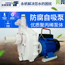 自吸泵 防腐耐鹽酸鹼工程塑料卧式水泵三單相化工離心泵小型220V