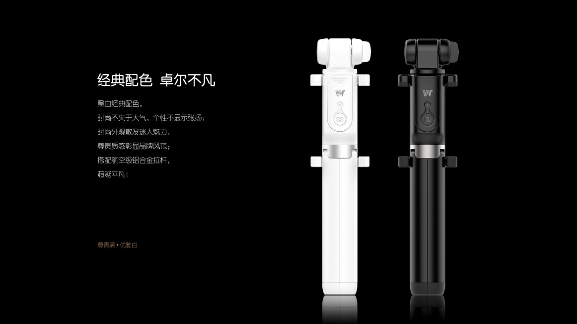 Bâton selfie en Acier inoxydable - Ref 3386265 Image 10