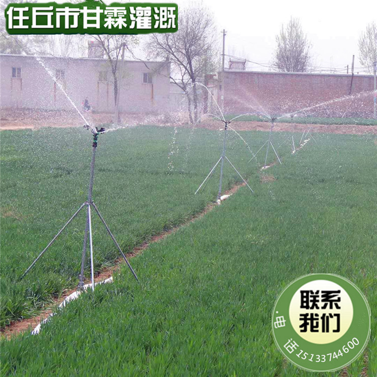 430990680701569976_副本