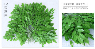 仿真植物單枝豆花葉槐樹棗樹葉子榆樹灌木綠植藤盆栽工程裝飾批發